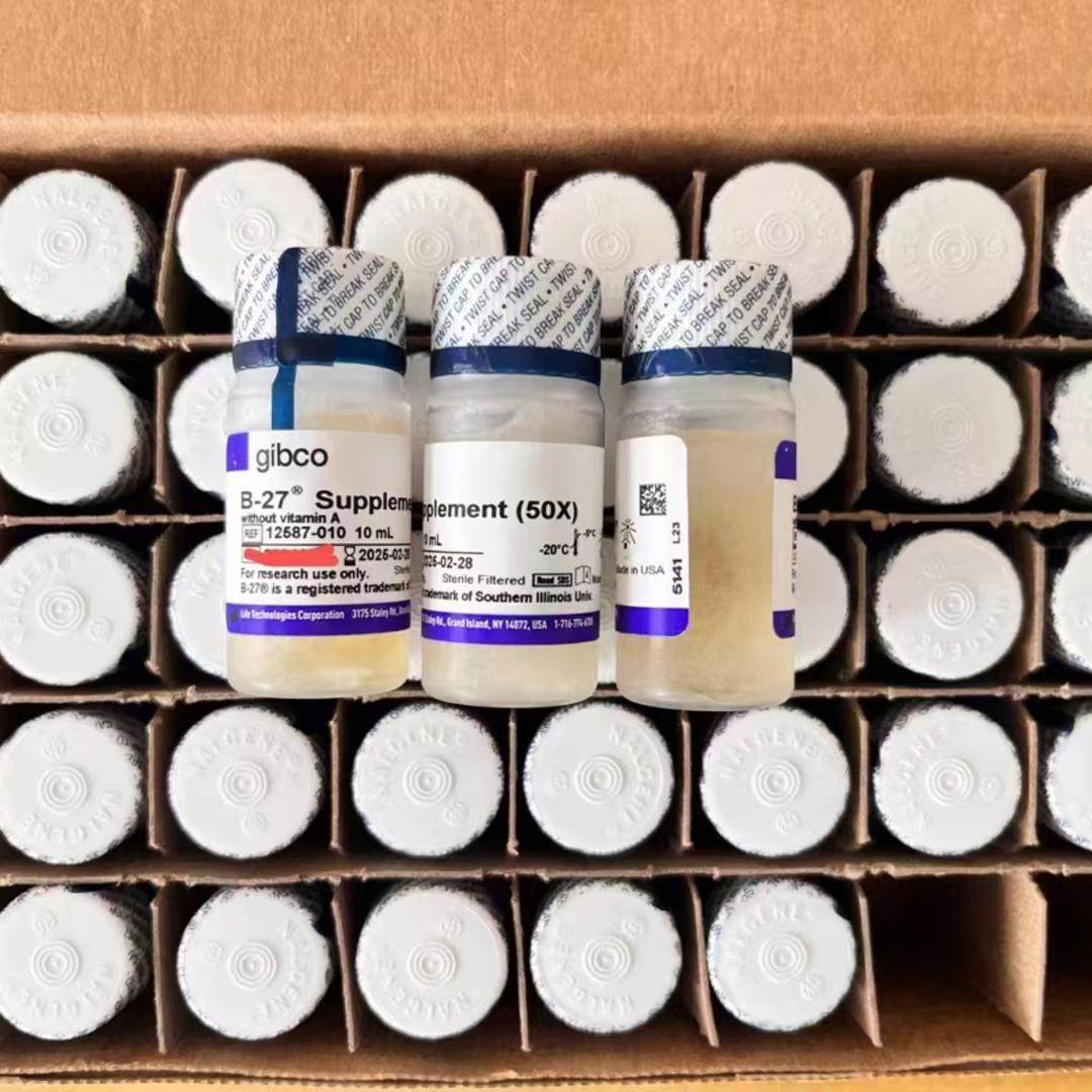 Gibco/B-27? 添加剂 (50X)，去除维生素 A/12587010/10ml