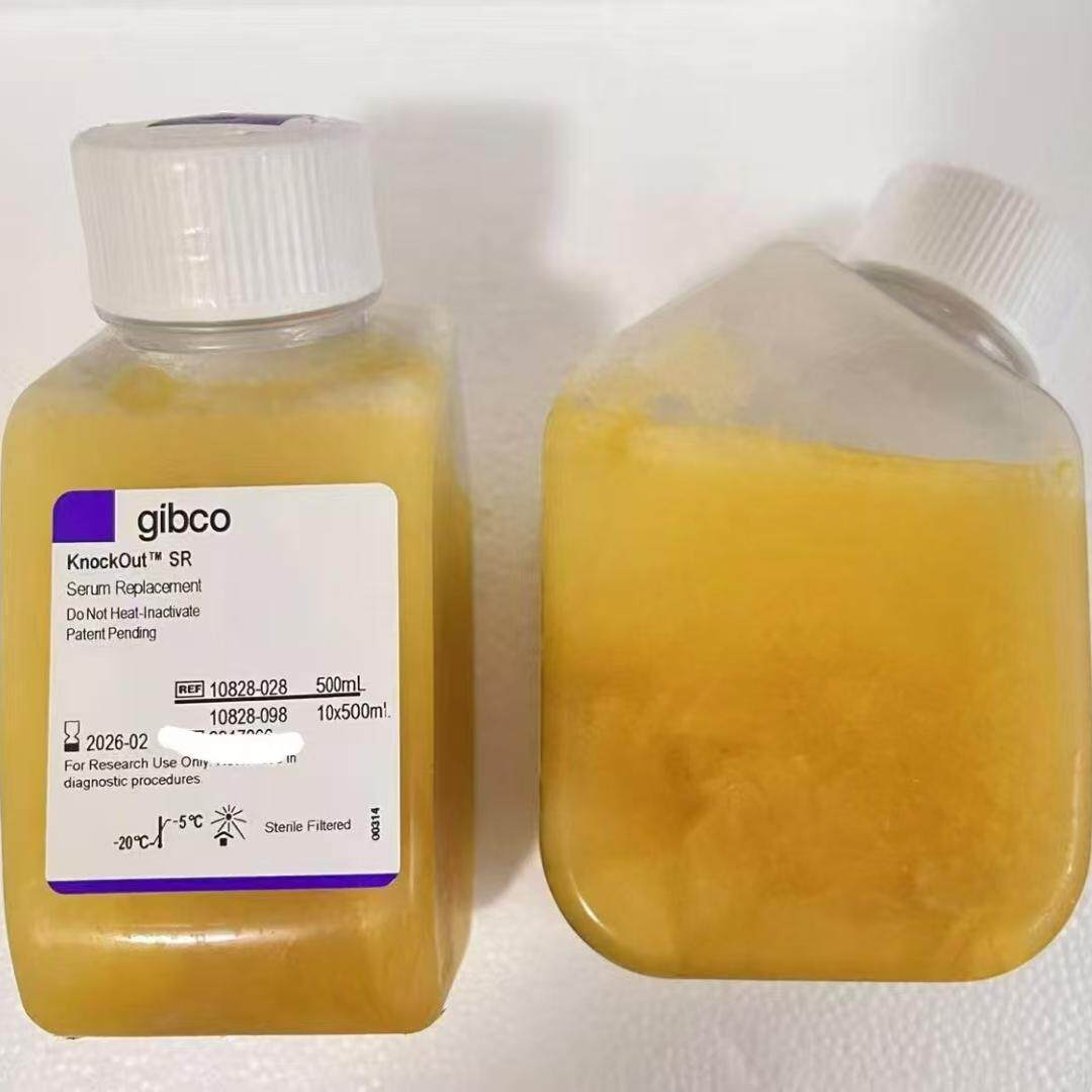 Gibco/KnockOut? 血清替代物/10828028/500ml