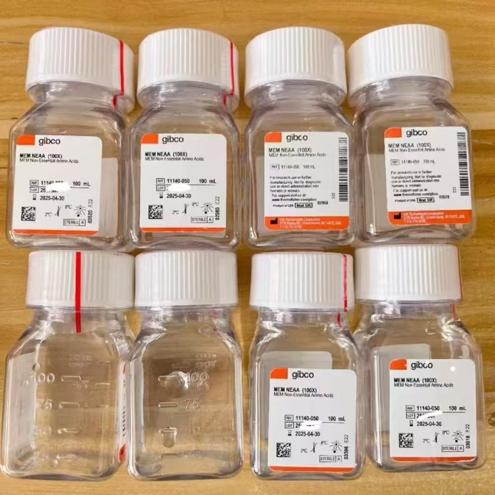 Gibco/MEM 非必需氨基酸溶液 (100X)/11140050/100ml