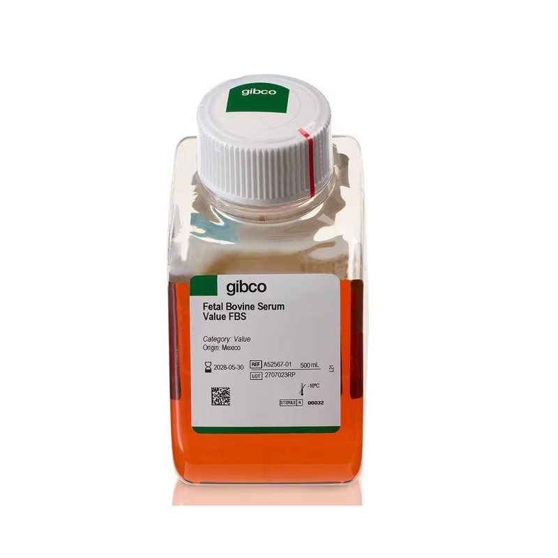 Gibco/胎牛血清/澳洲141 新西兰148 南美106 北美044/500ml