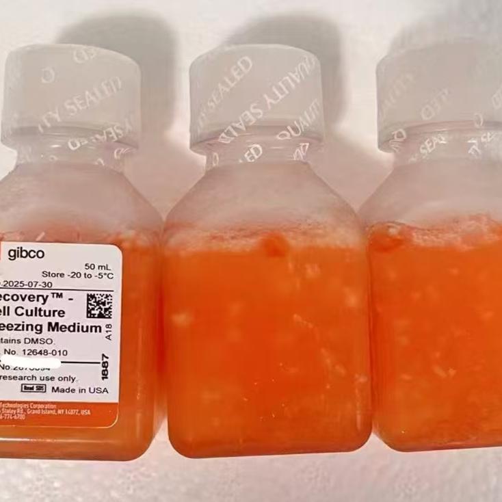 Gibco/Recovery? 细胞培养冻存培养基/12648010/100ml