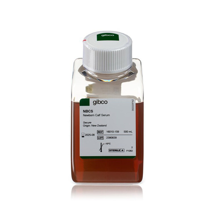 Gibco/新生牛血清/16010159/500ml