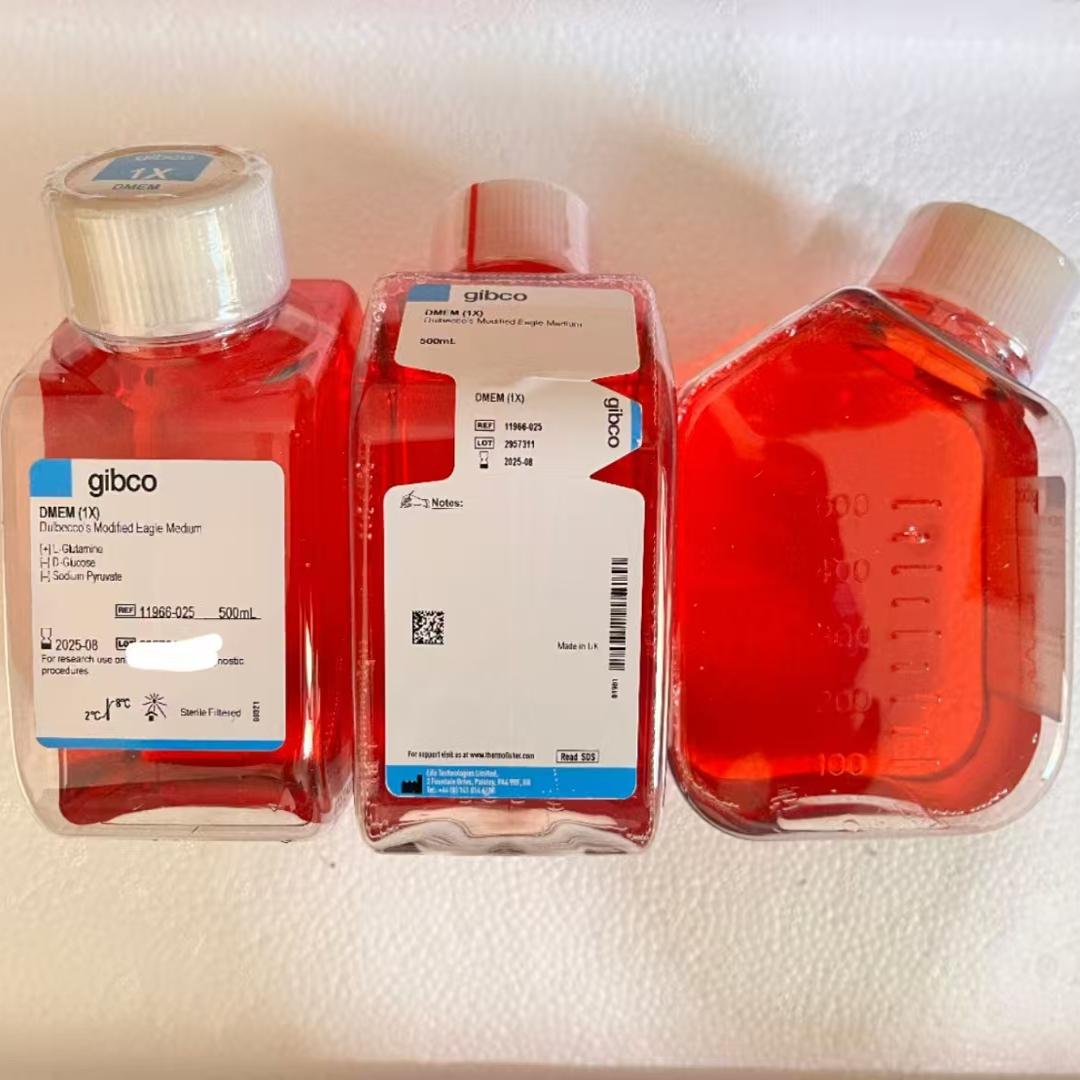 Gibco/DMEM，不含葡萄糖/11966025/500ml