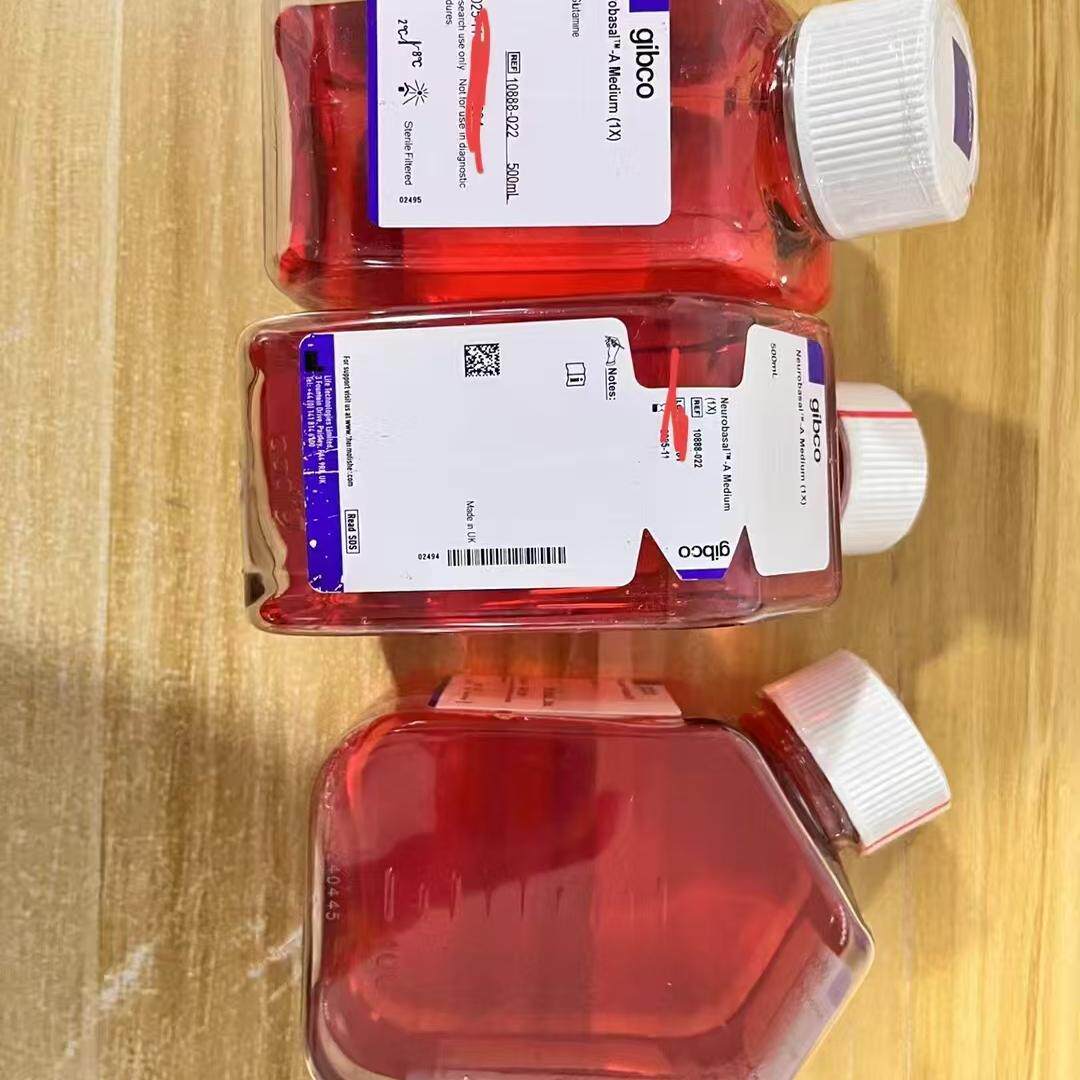 Gibco/Neurobasal神经元培养基/10888022/500ml
