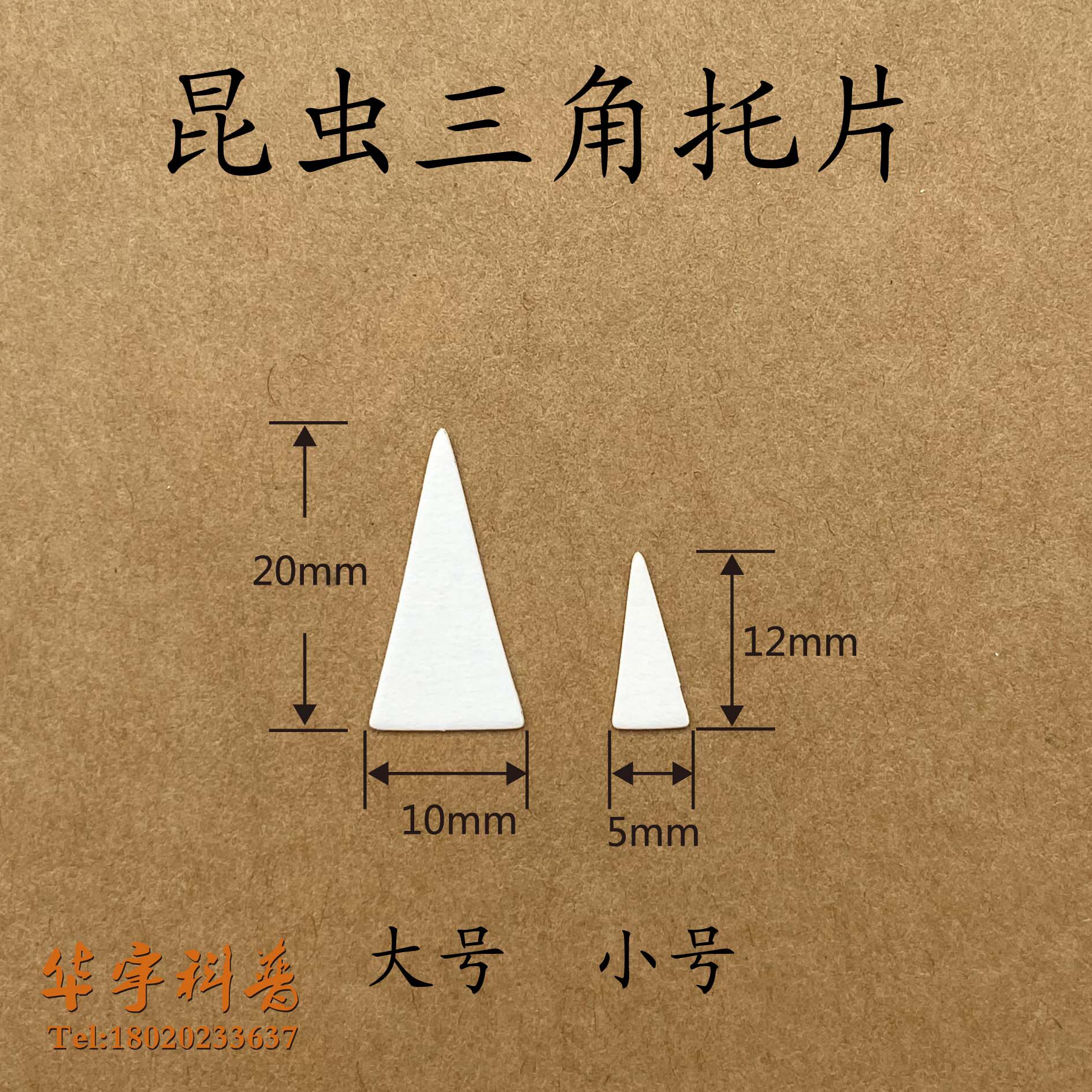 昆虫托片微型标本贴片定位垫板三角签虫卡纸可开票