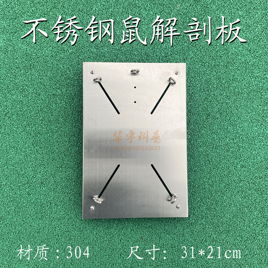 小鼠不锈钢解剖台青蛙手术台大鼠解剖固定板实验小动物手术灯包邮