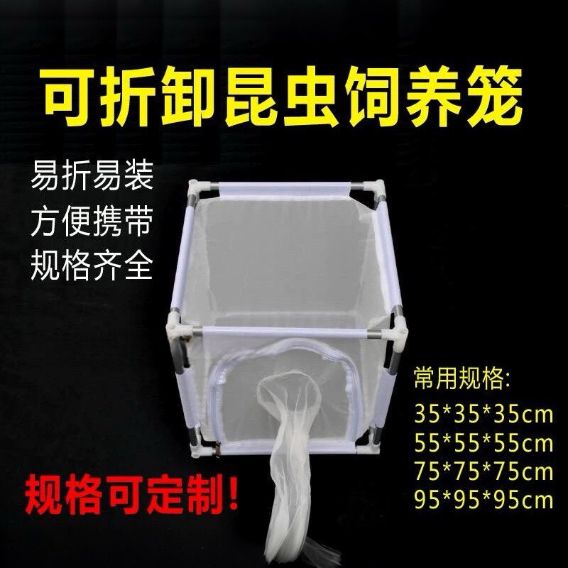 拆卸式昆虫饲养笼35*35*35cm养虫笼防虫网养蚊箱包邮可定制可开票
