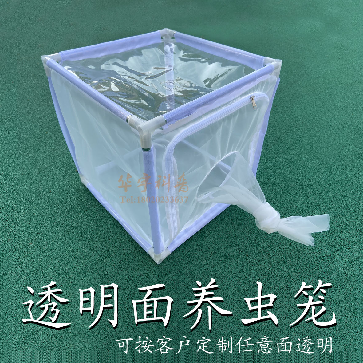 透明养虫笼昆虫饲养笼拆卸式养蚊笼养蝇笼蝴蝶防虫网可定制