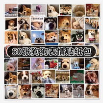 60 dog emoji bag stickers luggage stickers cute cartoon animal decoration suitcase stickers personality creativity