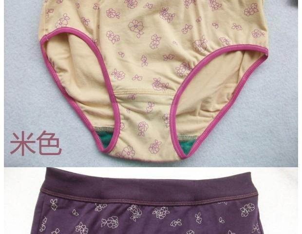 Tiandida thun Lycra cotton trắng nhạt in quần lót màu tím trong quần lót kháng khuẩn eo rộng 10 quần lót nguyệt san