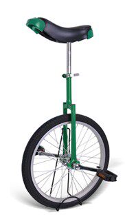June 1 special price Delin unicycle children unicycle height adjustable 20 inches thick aluminum ring black tire