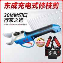 East Chengdu Branch Cut Electric Pruner Cut DCYD30B Charging Scissors Fruit Tree Garden Coarse Branches Cut East City Repair Branch Cut