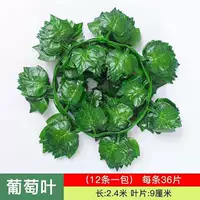 36 штук виноградного листья 12