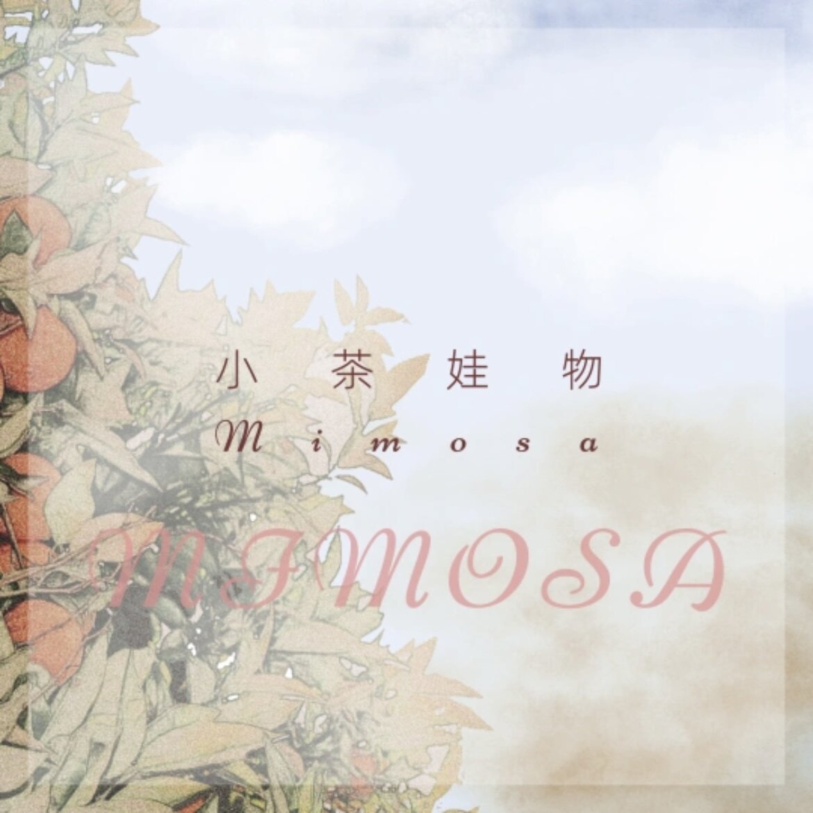 小茶娃物Mimosa