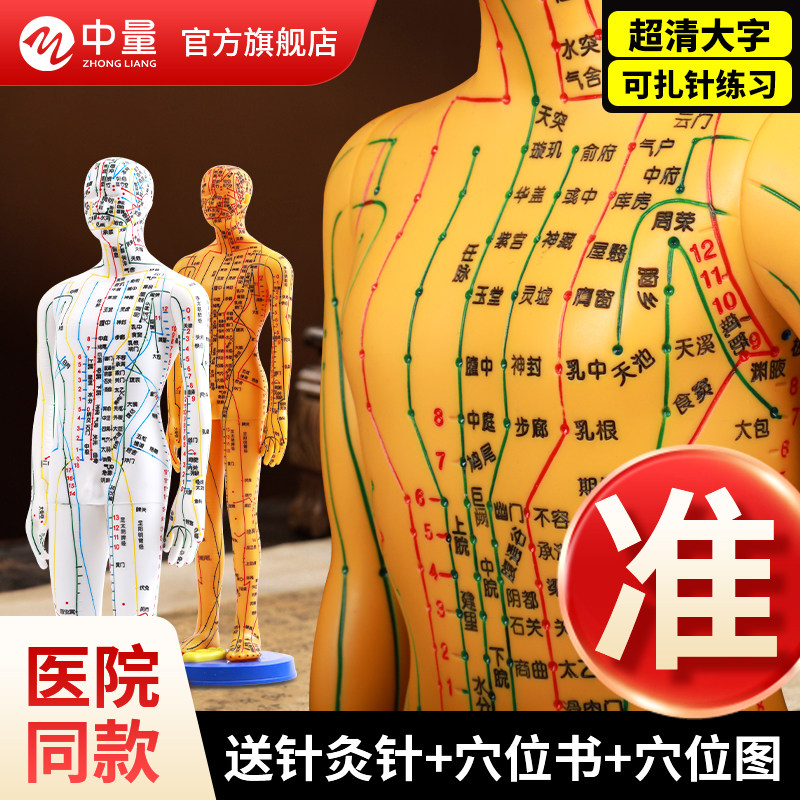 针灸经络人体模型 十二铜人仿真人形可扎针训练教学