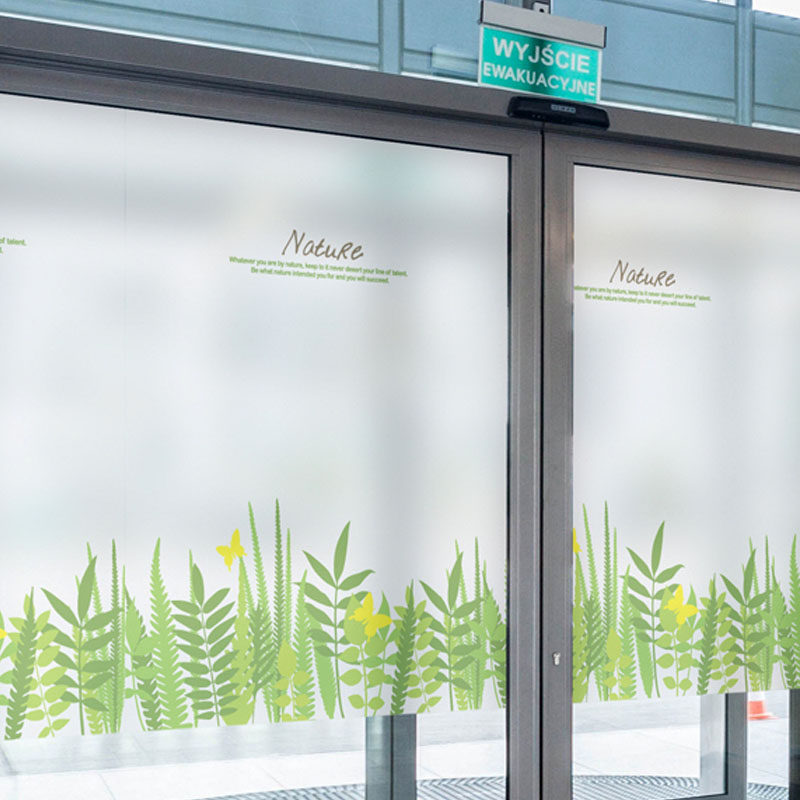 ��������Ҷ������ĤMS28