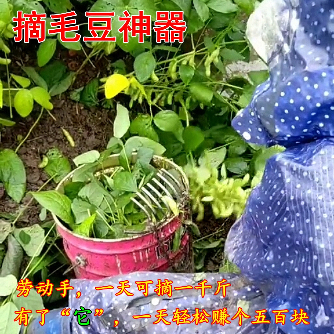 Harvest soybean peanut picker manually picking soybean peanut fruit picker with small potato pick potato household artifact