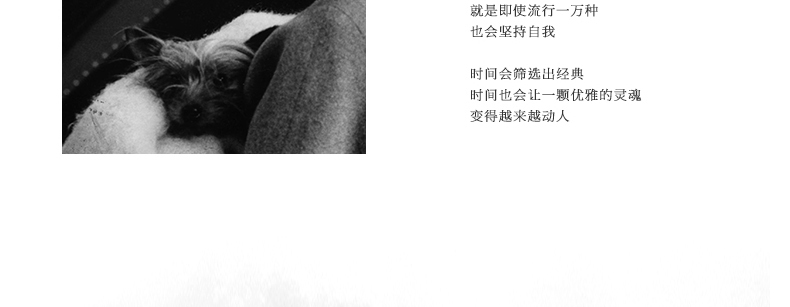 Chapeau pour femme SIGGI - Ref 3233151 Image 11