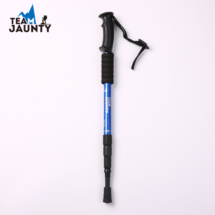 Đi bộ đường dài ngoài trời Bắc Âu đi bộ leo núi cực leo núi tập thể dục - Gậy / gậy gậy đa năng