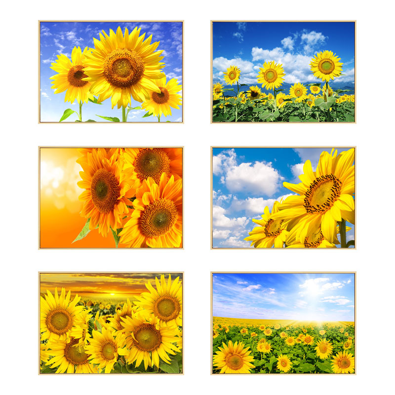Restaurant Decorative Painting, Bedroom Bedside Hanging Painting, Dining Room Modern Simple Pastoral Scenery Sunflower Mural, Corridor Aisle