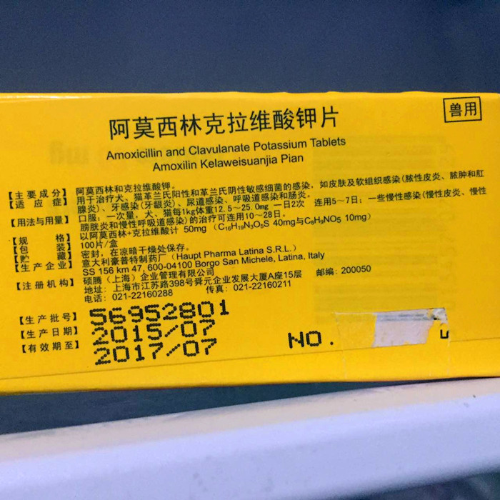 辉瑞速诺片50mg 犬猫感冒猫鼻支尿路感染皮肤