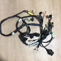 Applicable to Guangyang Jinli EFI CK110T-3B whole car line main circuit main wiring