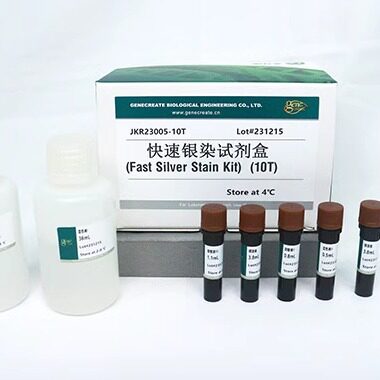 银染试剂盒(Silver Stain Kit)特价活动