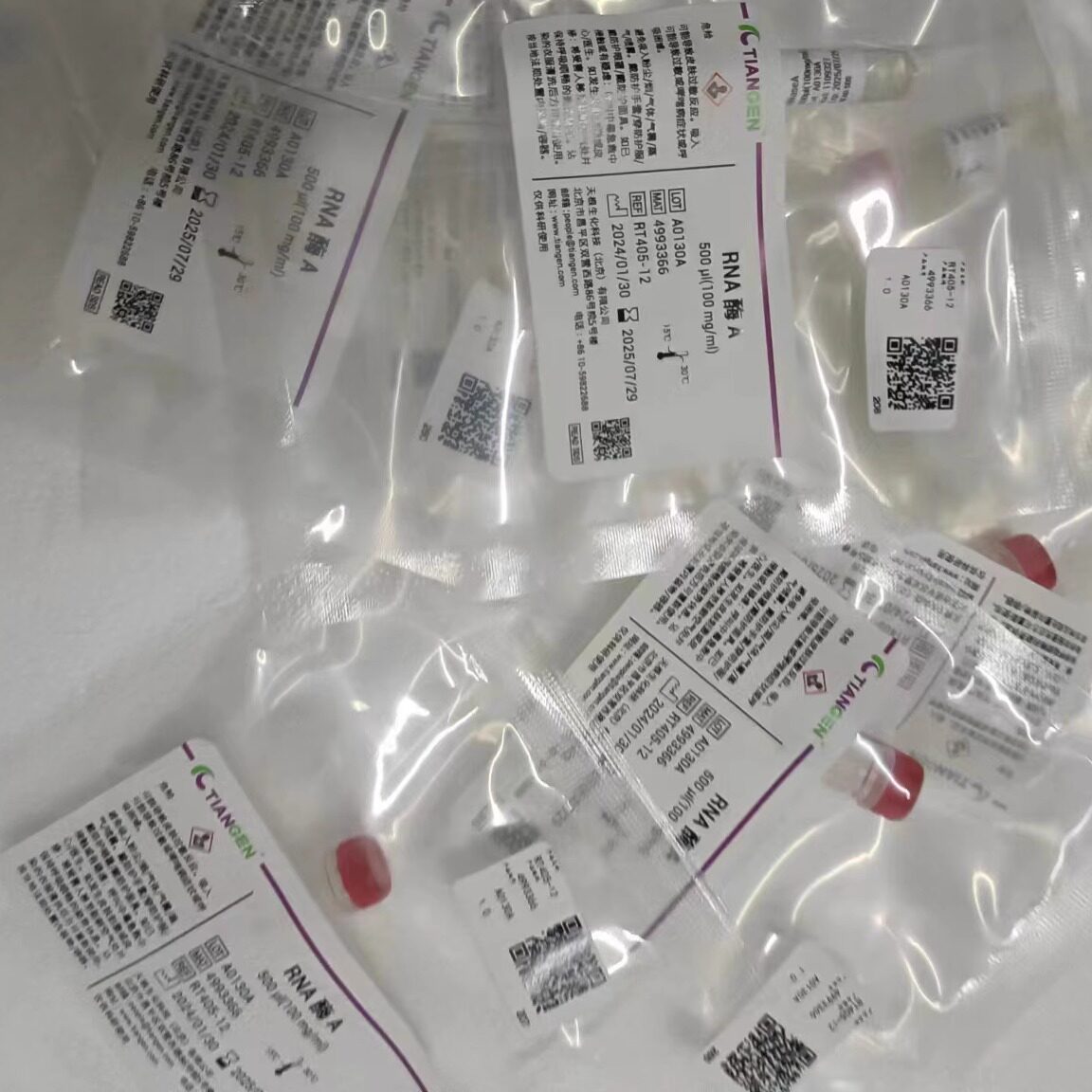 天根生化RNase A 溶液(RT405-02)RT405-12正品现货