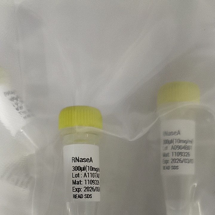 RNaseA溶液(10mg/ml). 300ul，1ml, 现货现发包税，天根生化RT405