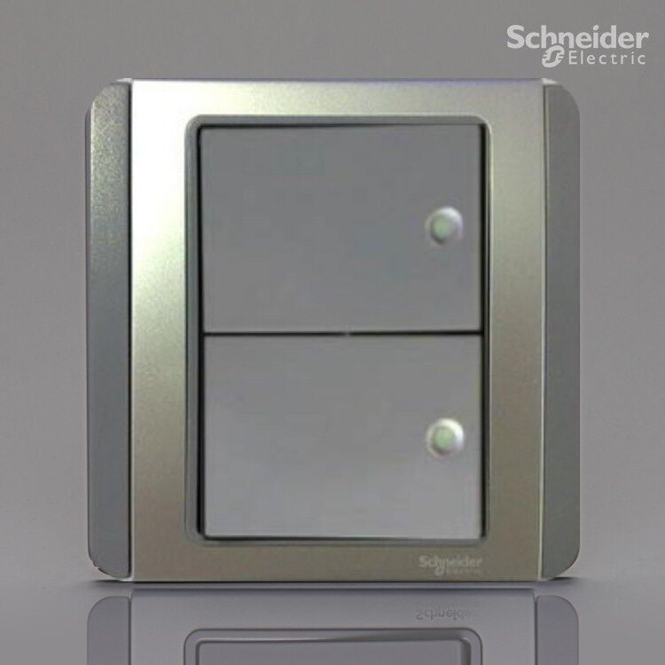 Schneider Qisheng E3000 series with fluorescent double-open double-control switch gray silver