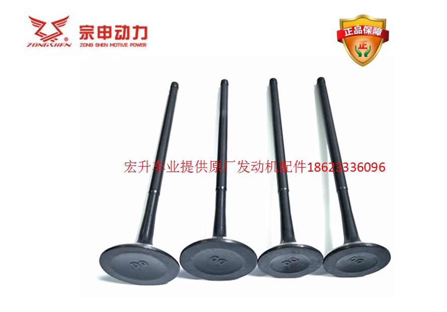 Original plant Zongshen rebel extremely thier Guido Portaur M6-7 new feel XGJ CBS300R valve oil seal