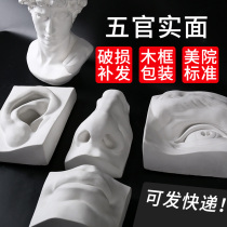  Facial features solid plaster image art teaching aids Plaster avatar sculpture Plaster sculpture sketch Plaster avatar model