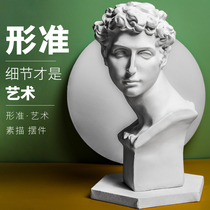 Xiawei plaster statue 28cm art student sketch sketching Academy recommended art teaching aids home decoration ornaments