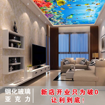 Dream undersea art glass ceiling acrylic transparent organic UV simple living room porch corridor ceiling