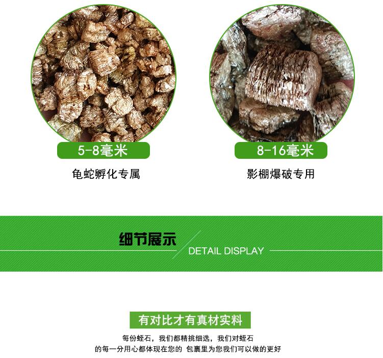 Ocher tốt mọng nước chậu hoa phong lan trung bình thực vật lưỡng cư nở vườn cung cấp dụng cụ nhổ cỏ