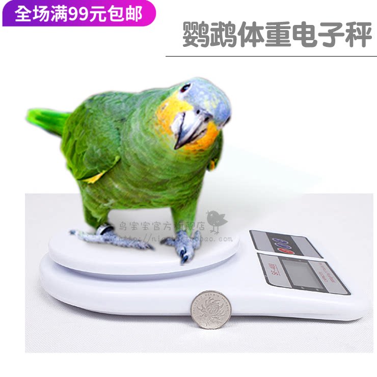 Parrot weight electronic scale (parrot toy parrot station rack parrot-foot-chain parrot-chain appliance)