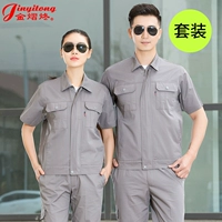 Нарукавники, комплект с молнией, короткий рукав