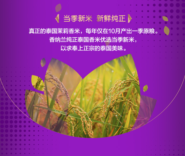 https://img.alicdn.com/imgextra/i4/1867782358/TB2X6TEXBTH8KJjy0FiXXcRsXXa_!!1867782358.jpg