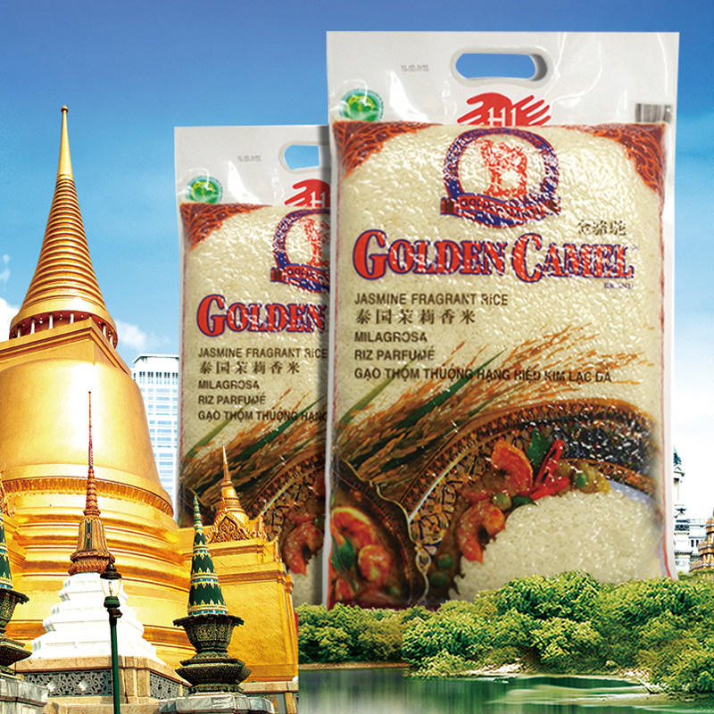20 years of new rice original imported golden camel jasmine special grade Thai jasmine rice 5 kg