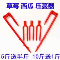 Watermelon Press tendrils Strawberry Fork Sweet Vine seedling fork Pressed Fry to press Stem Fork Strawberry Instrumental Fork Strawberry