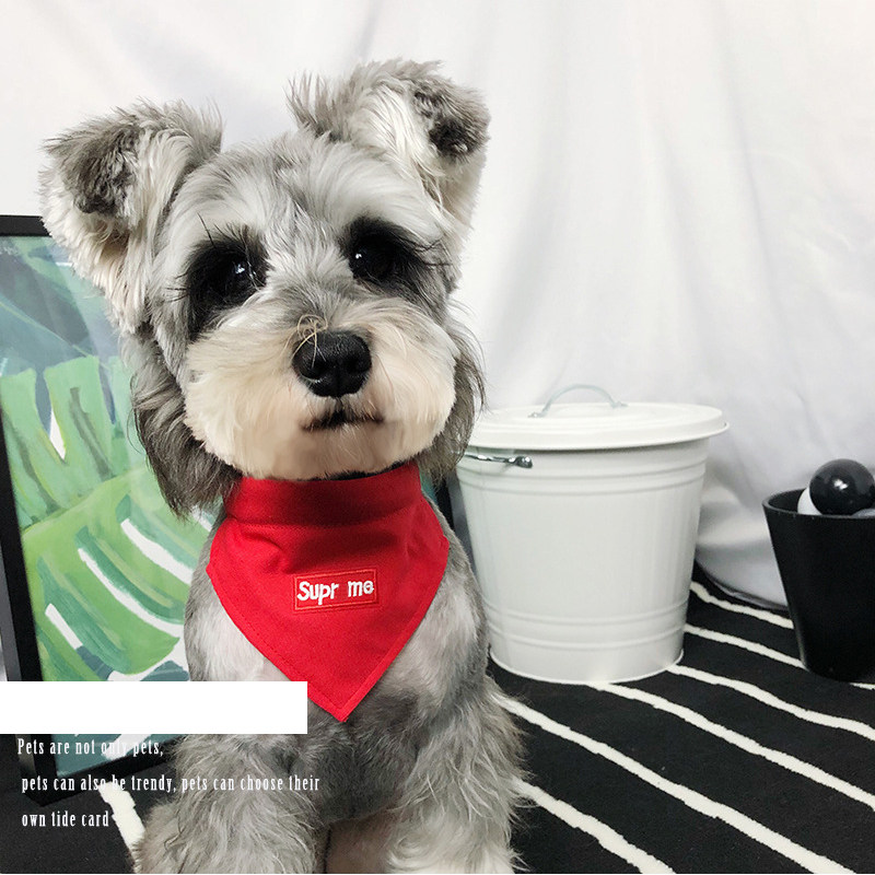 sup pet dog saliva towel triangle towel collar collar traction rope small and medium dogs and cats tide brand dog rope