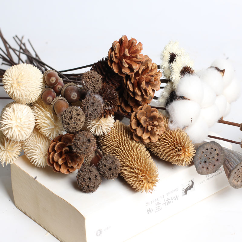 Kapok pine cones showered acorn with rod flower arrangement Simple Zen home living room decoration dry flower photo props