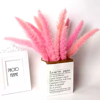 ins Pink reed dried flower bouquet Natural plant Living room decoration ornaments Pu Reed shooting props Literary flower arrangement