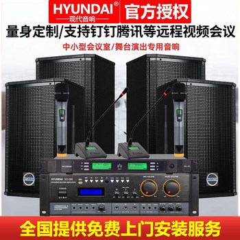 Modern Professional Large, Medium and Small Conference Room Audio Set, Dance Studio, Classroom, Training Multi-Function Hall Wall-Mounted Speakers