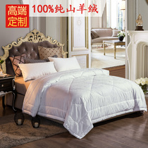 Billion sheep are now made of pure cashmere quilt core thickened warm winter quilt special custom spring and autumn quilt 100% wool quilt