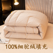 High-quality fine camel hair quilt pure cotton thick warm winter quilt single double quilt core spring and autumn quilt camel hair quilt student quilt