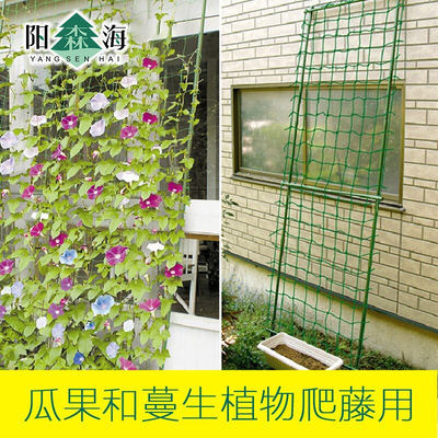 Special offer on grape climbing nets, rose, cleft, loofah, cucumber, pumpkin, passion fruit climbing frame nets and gardening supplies