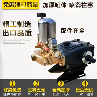 High pressure agricultural three-cylinder porcelain spray plunger pump free cream spray pump remote sprayer spray machine pressure pump