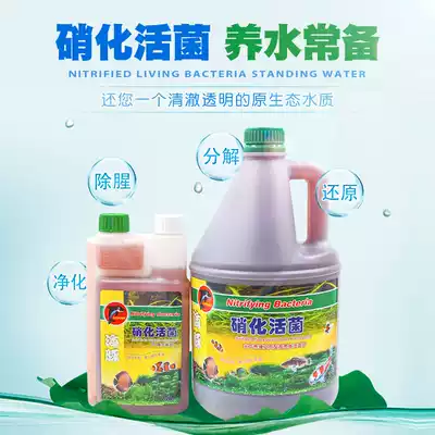 Dolphin active nitrifying bacteria aquarium water purifier clear digestive bacteria water quality stability agent