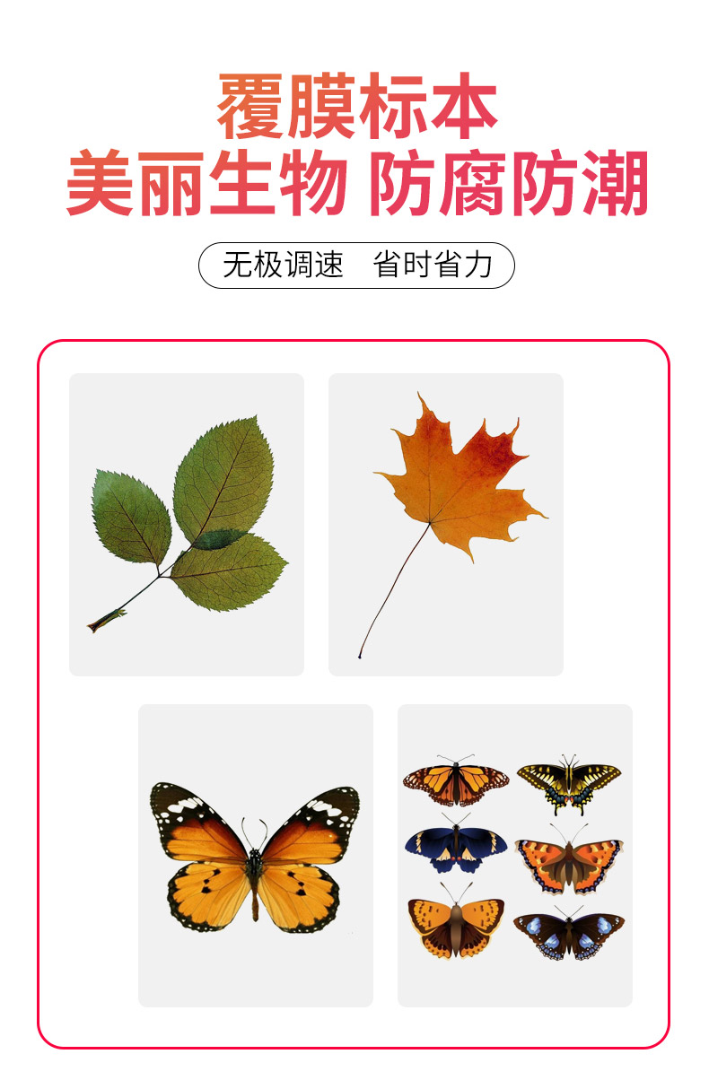 慧梦广告写真机覆膜机 小型双面冷裱覆膜机胶辊电动冷裱机 照片压膜机塑封机 覆膜机 全自动 商用表膜机8350T商品详情图